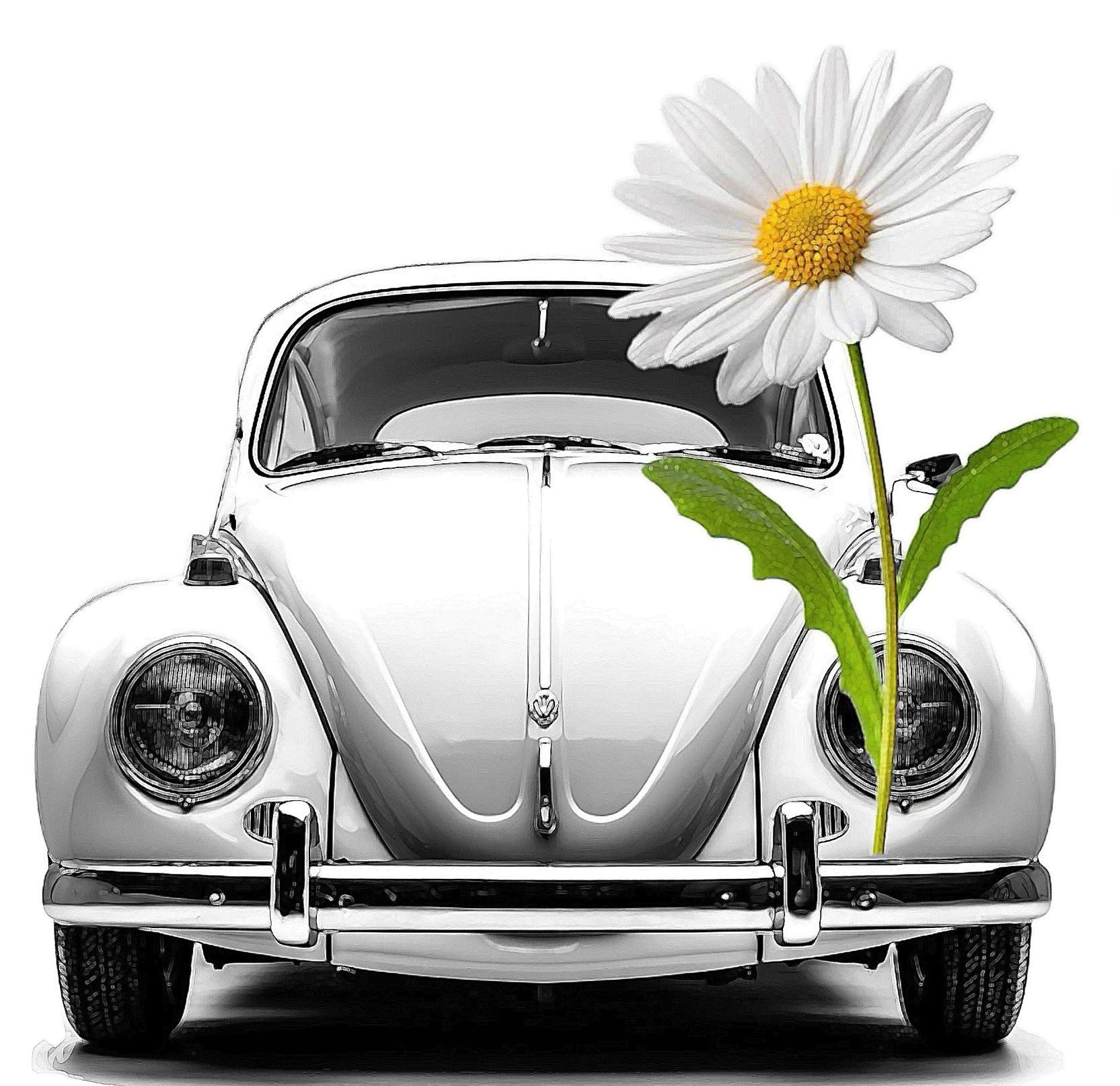 LOVE BUG MUSHIE TEE